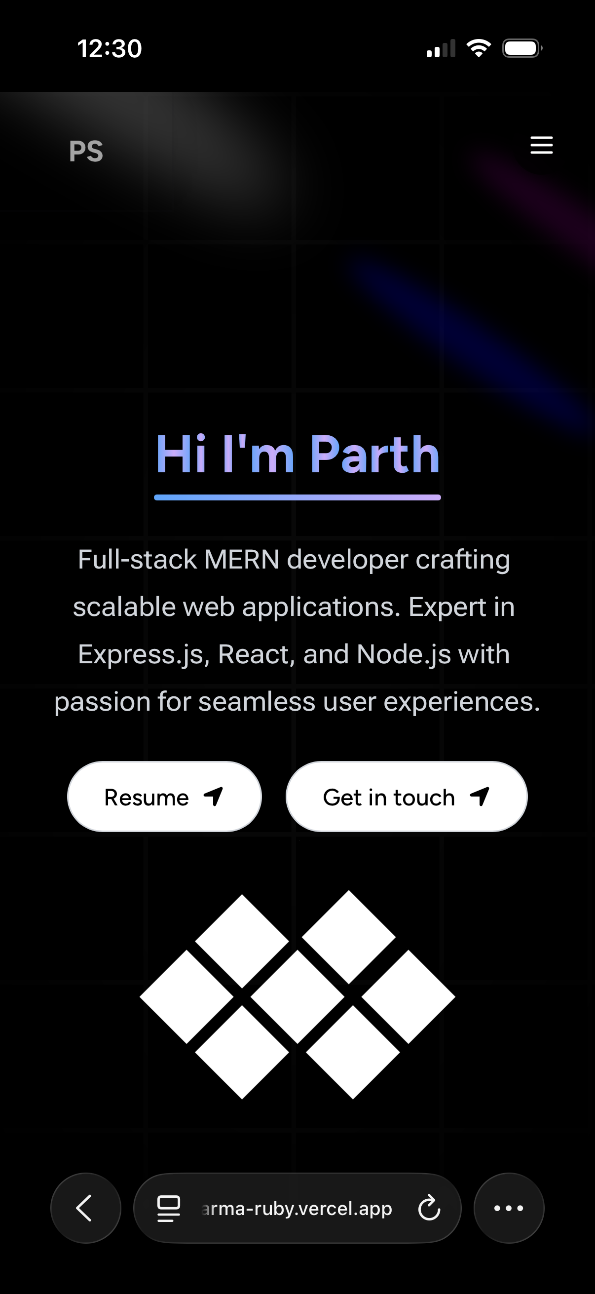 Portfolio Mobile View 1